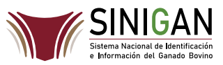 SINIGAN